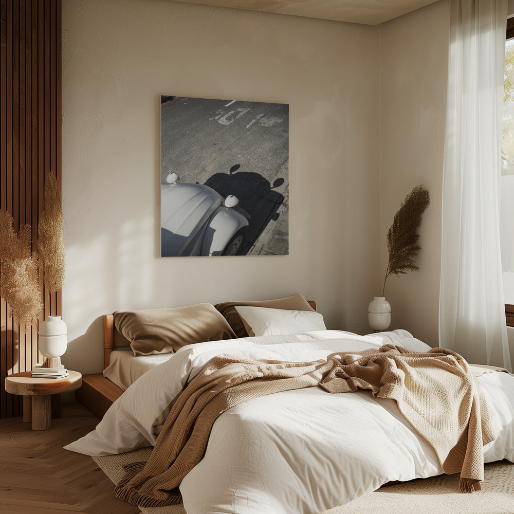 Klassieke Curve Schaduwen | Canvas