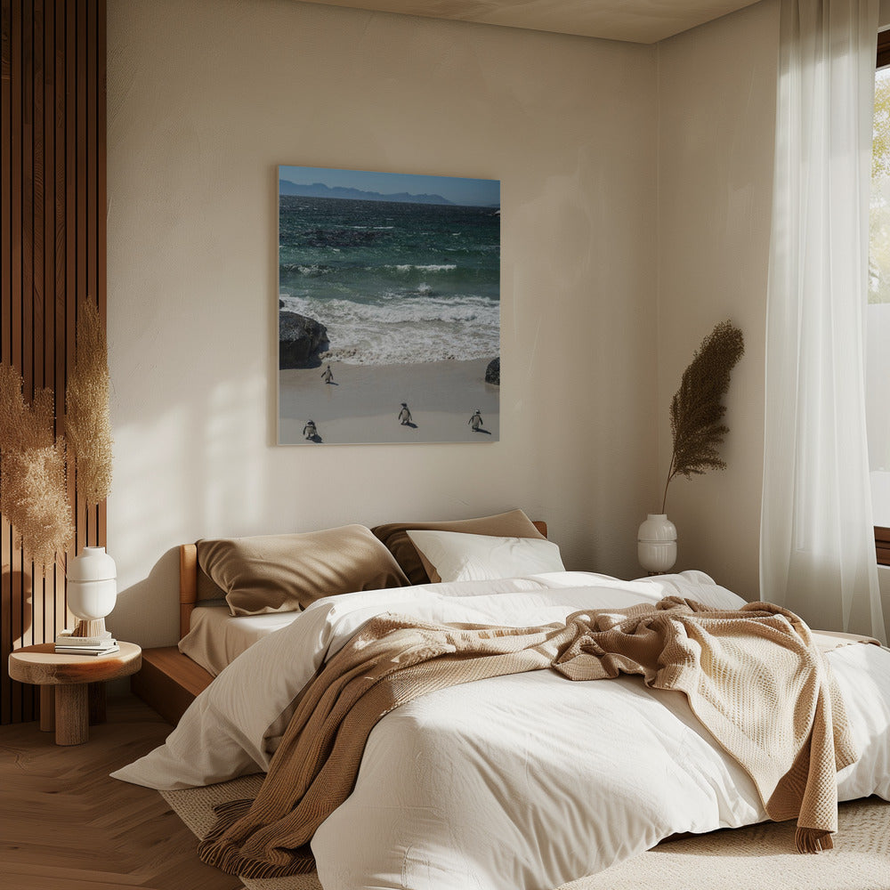 Penguin Beach Stroll | Canvas