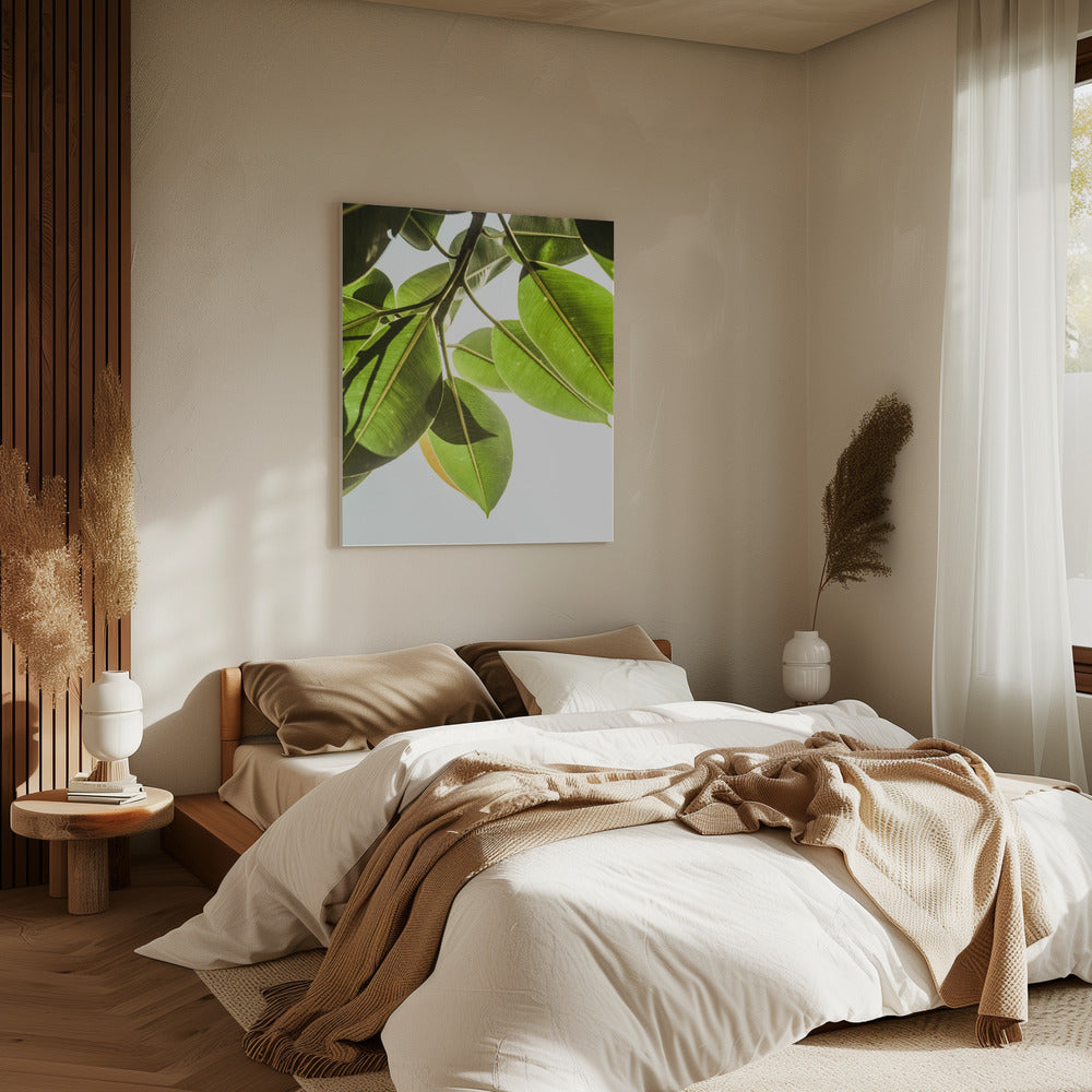 Zonovergoten bladeren | Canvas