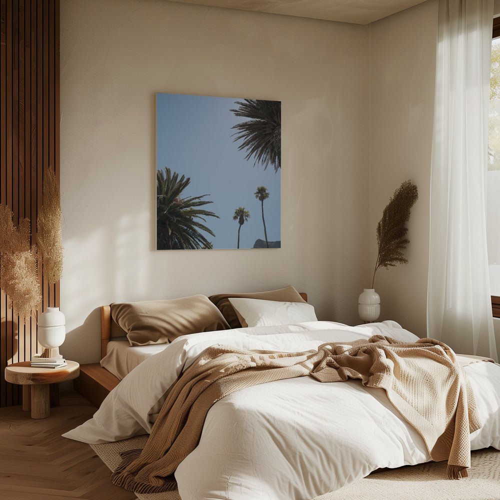 Zonnig Palm Heights | Canvas