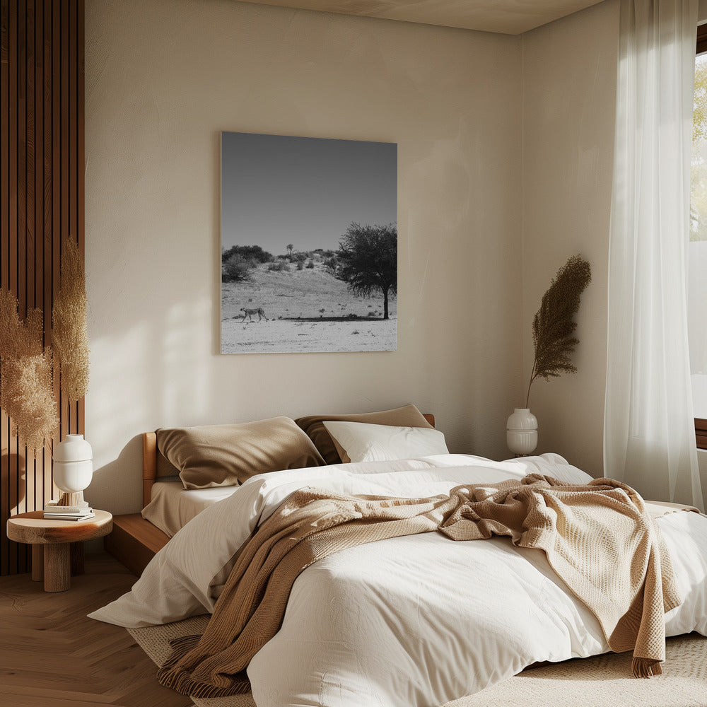 De eenzaamheid van de cheeta | Canvas