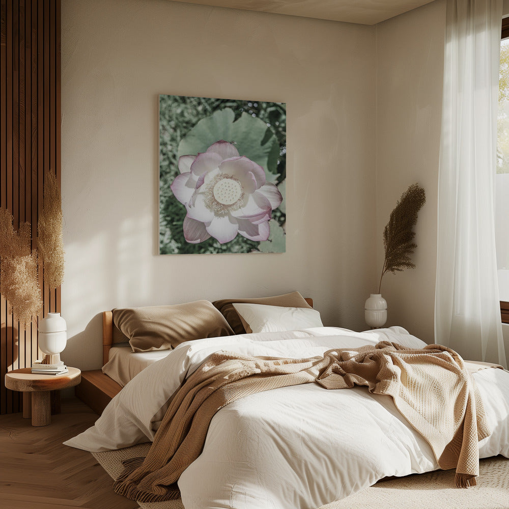 Lotus Sereniteit | Canvas