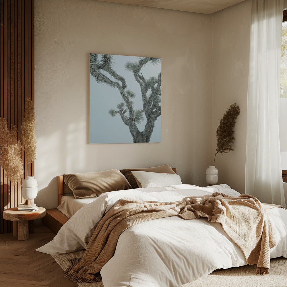 Woestijn Elegantie | Canvas