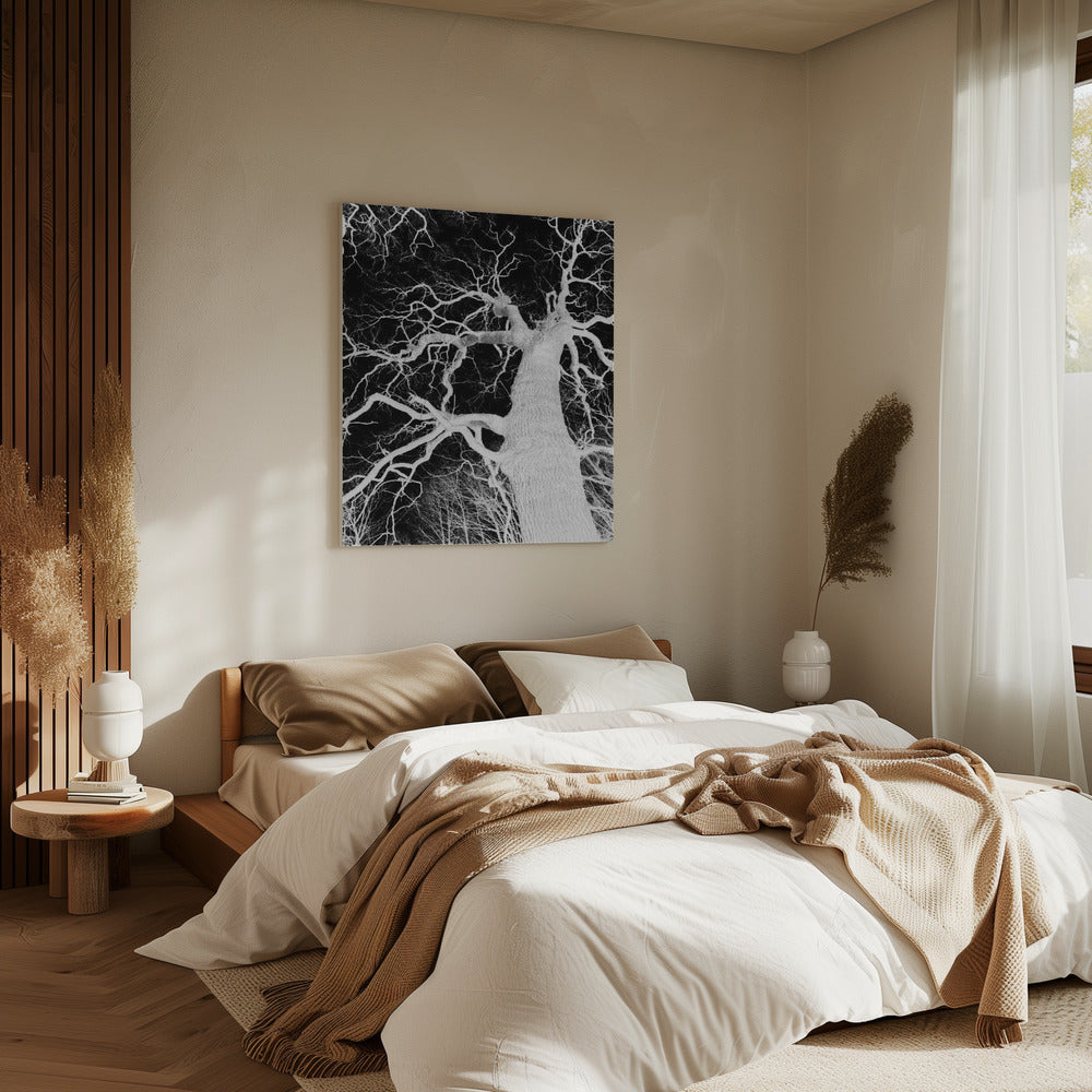 Omgekeerde Arbor Essence | Canvas