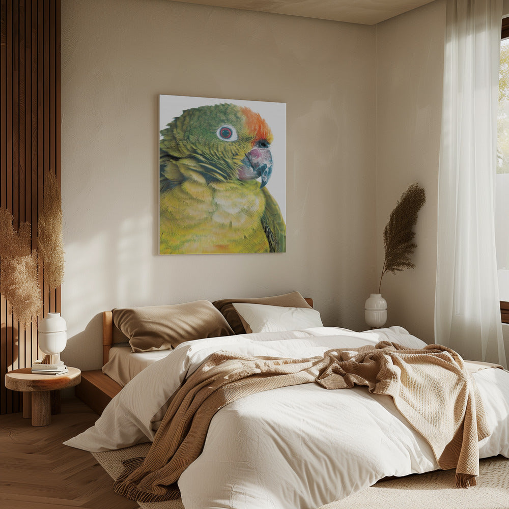 Levendige papegaaienblik | Canvas