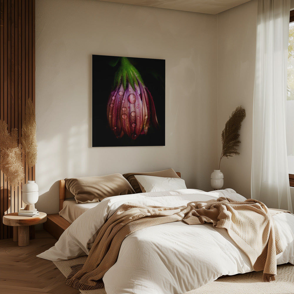 Na de regen | Canvas