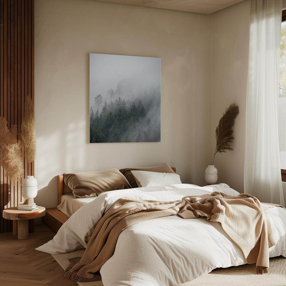 Foggy Morning 2 | Canvas