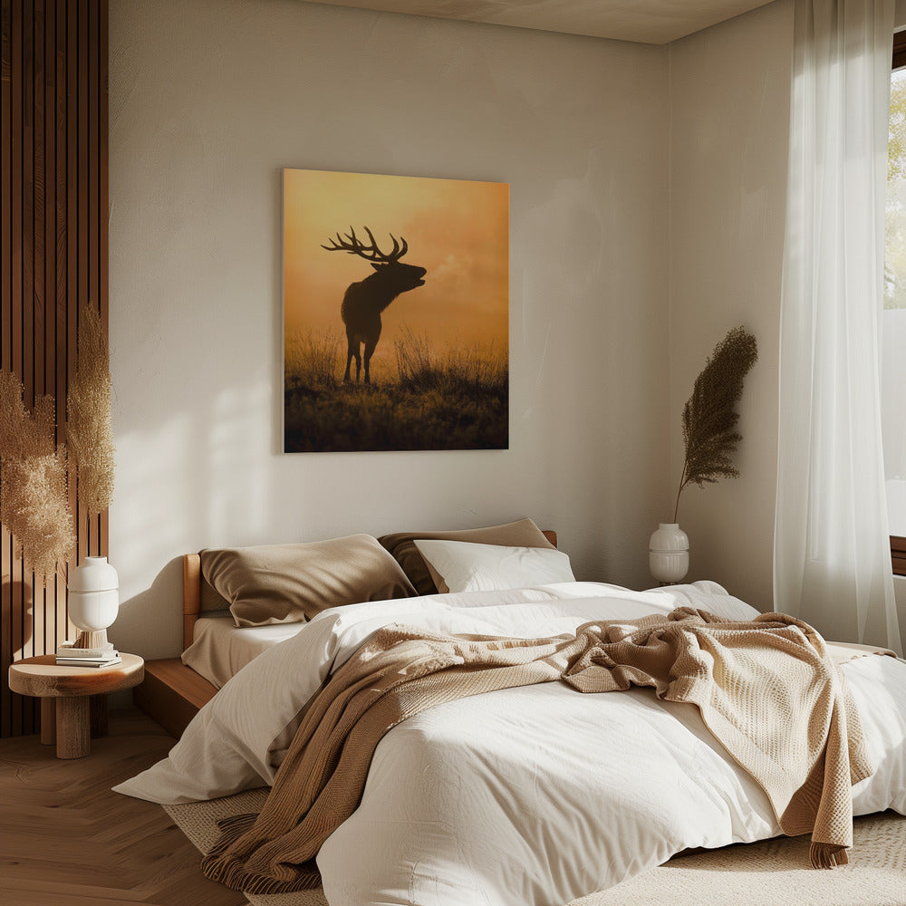 Ochtendoproep | Canvas