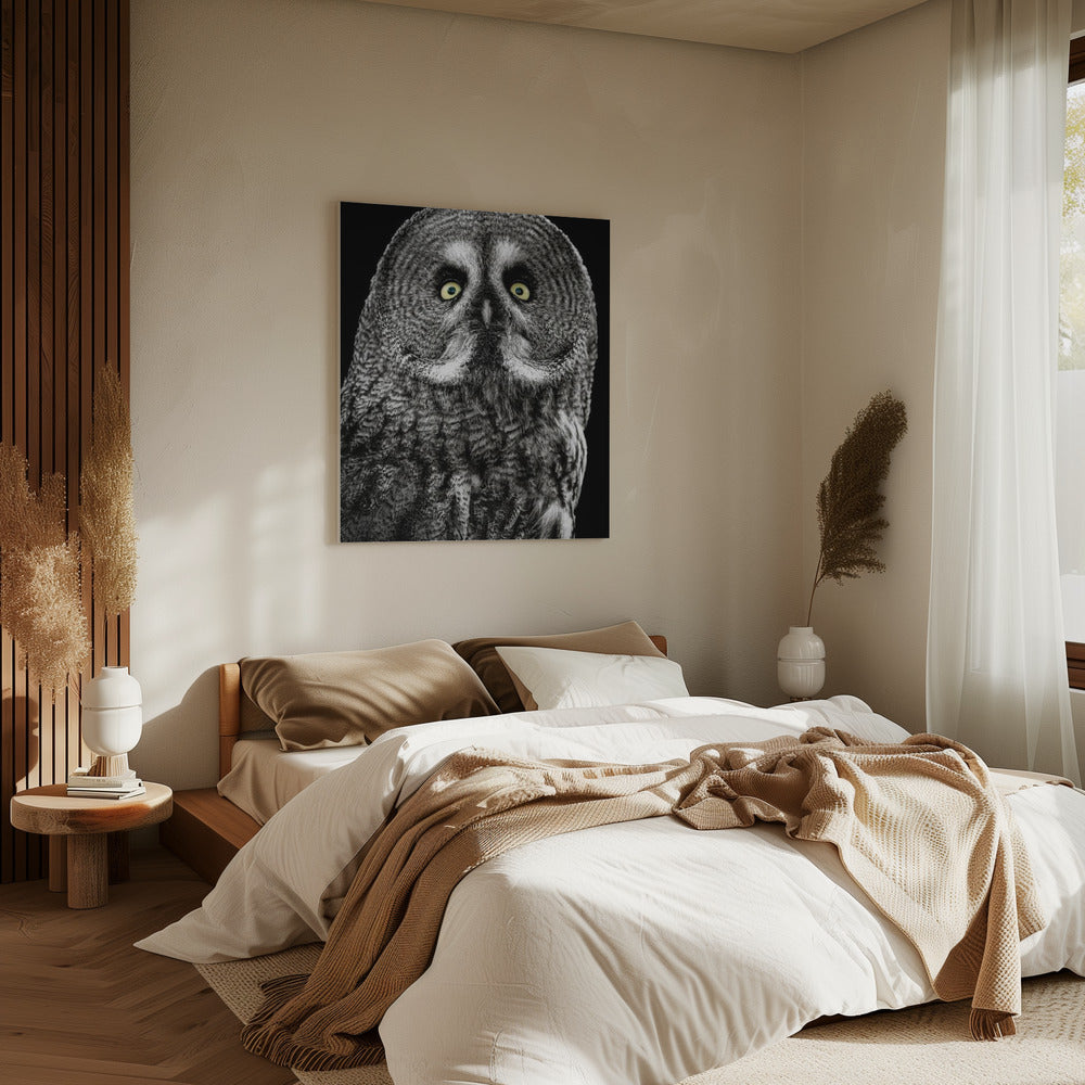 Uil | Canvas