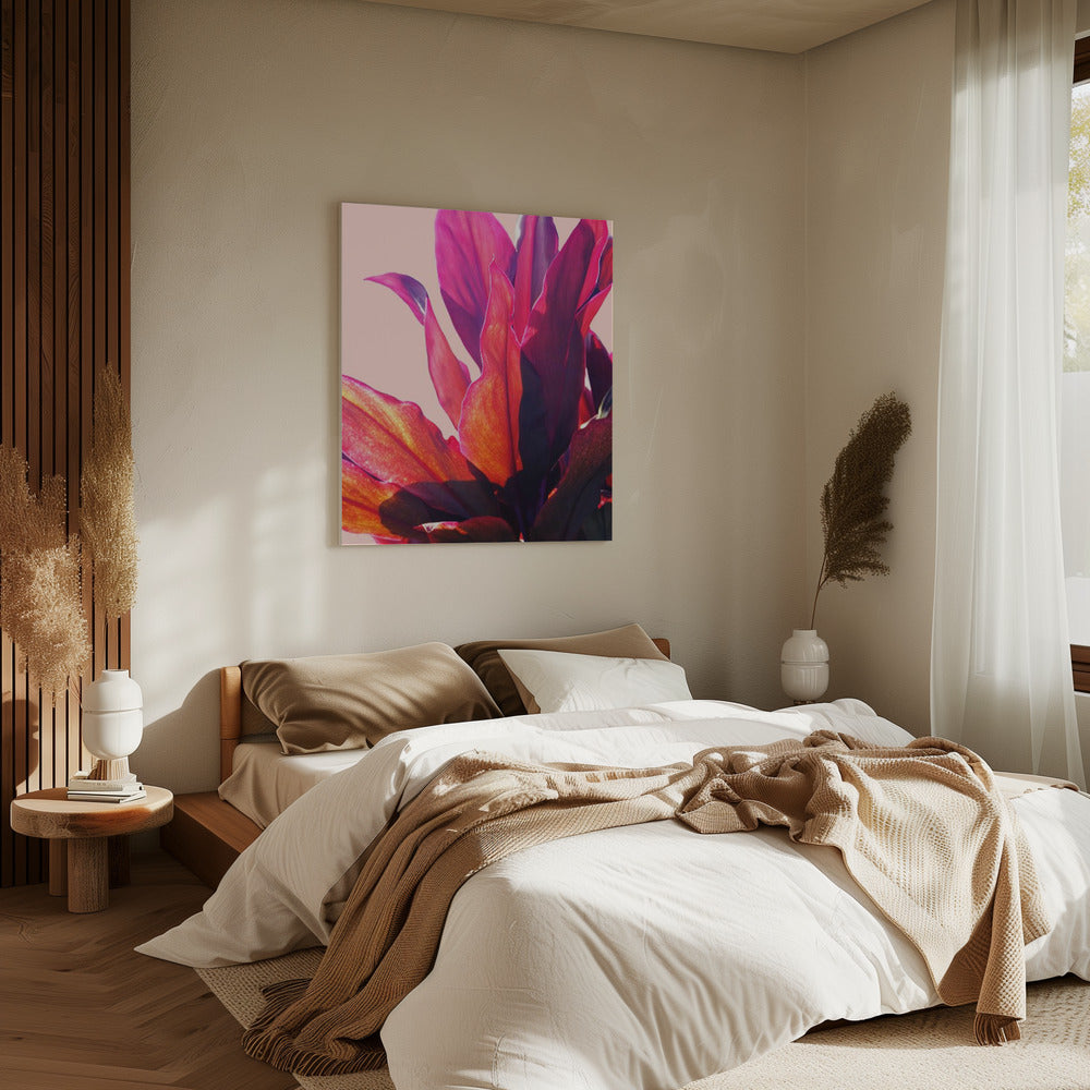 Fuchsia Bladeren II | Canvas