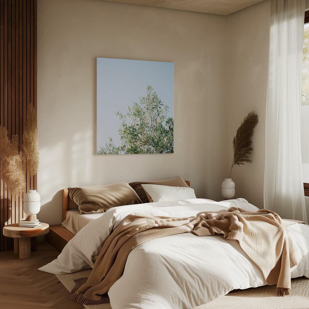 Olijven in Ostuni | Reisfotografie Italië | Canvas