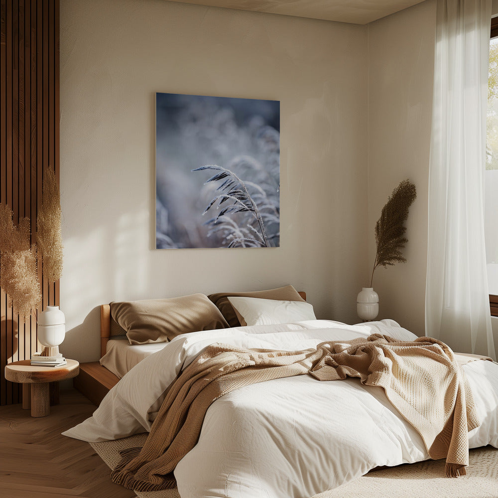 Vorstelijke ochtend 5 | Canvas