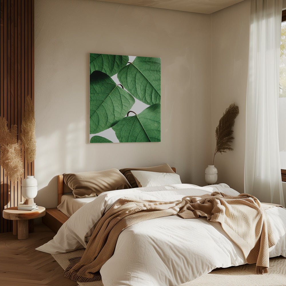 Zomertakken | Canvas