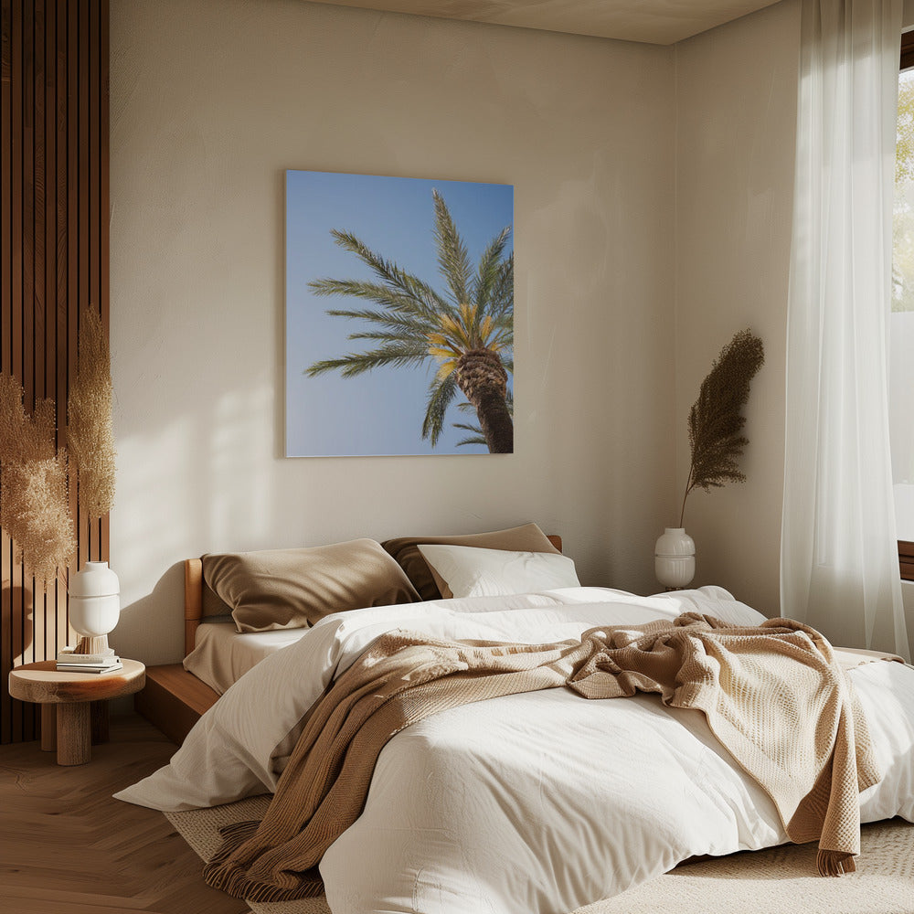 Vejer de La Frontera Palmboom | Canvas