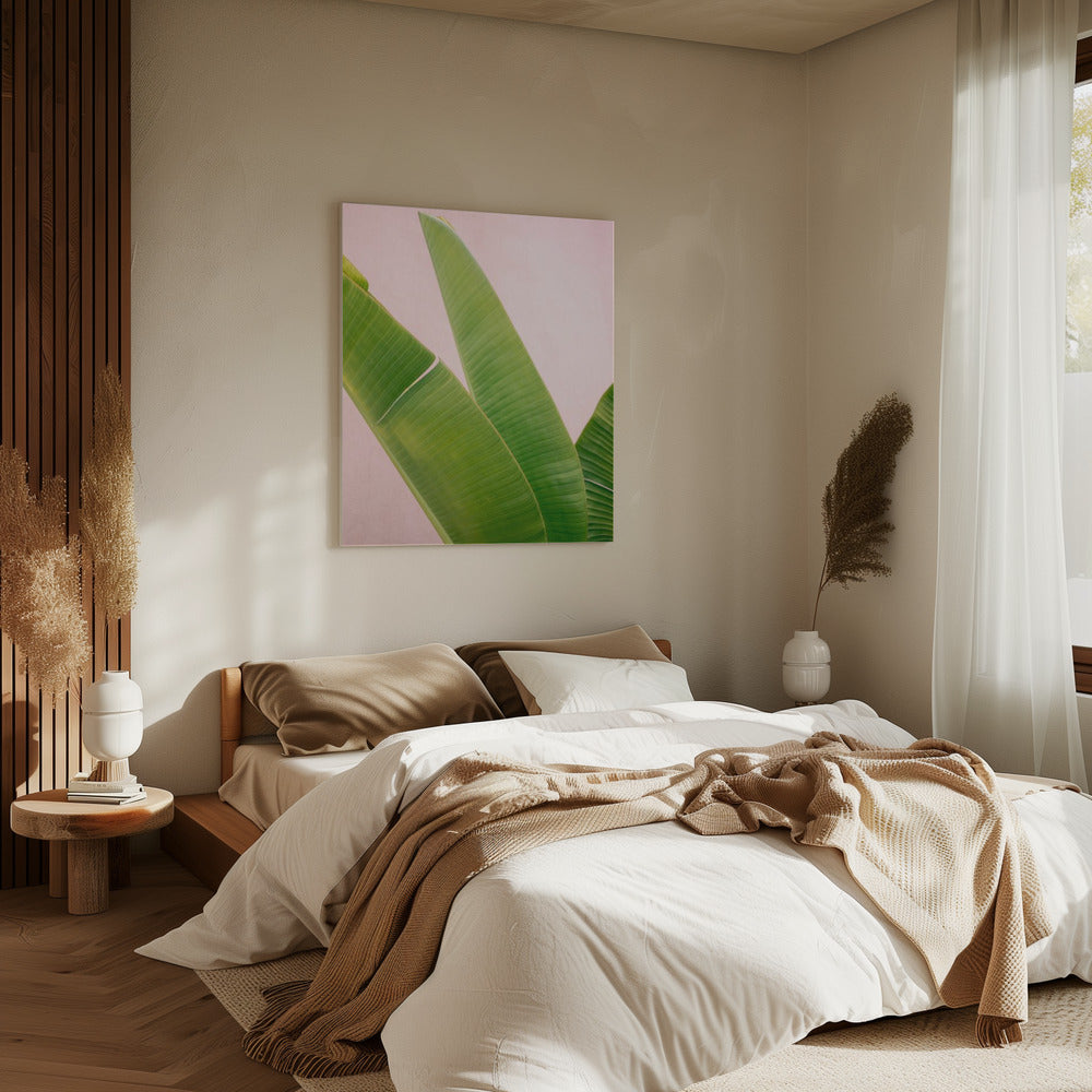 Merida Groen op Roze | Canvas
