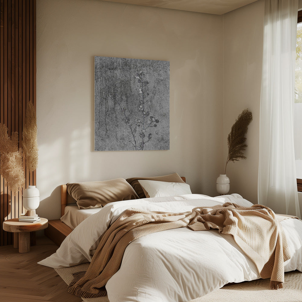 Delicaat verval | Canvas