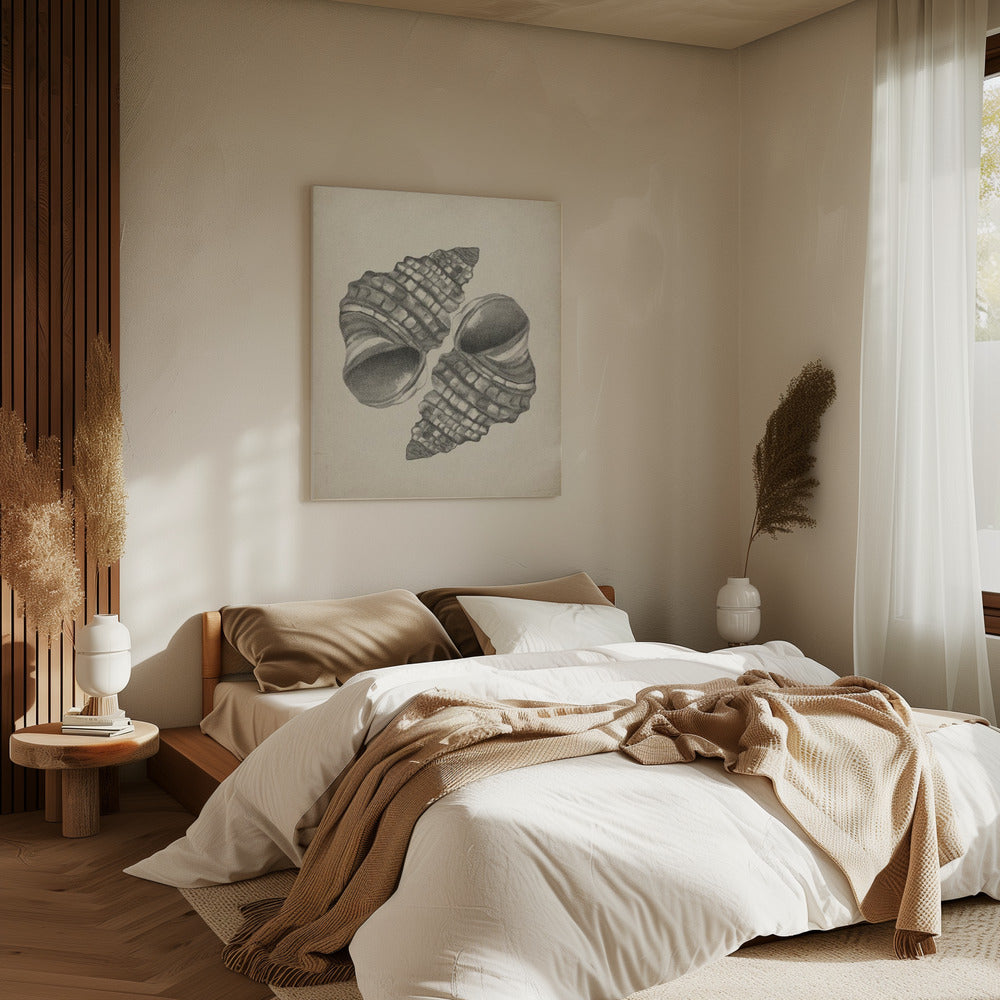 Schelpen | Canvas