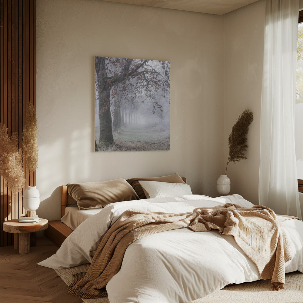 Mistige winterochtend 3 | Canvas