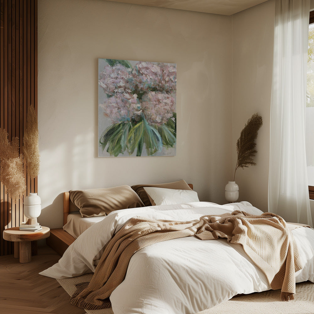 Roze hortensia's met groene bladeren | Canvas