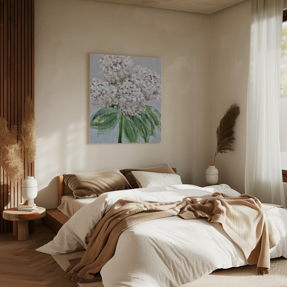 Witte hortensia bloei | Canvas