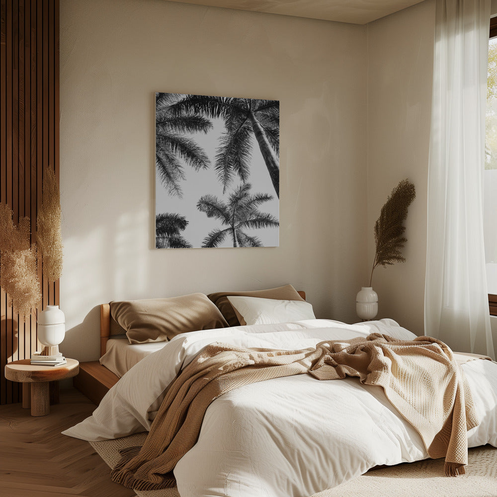 Zwart-witte palmboom | Canvas