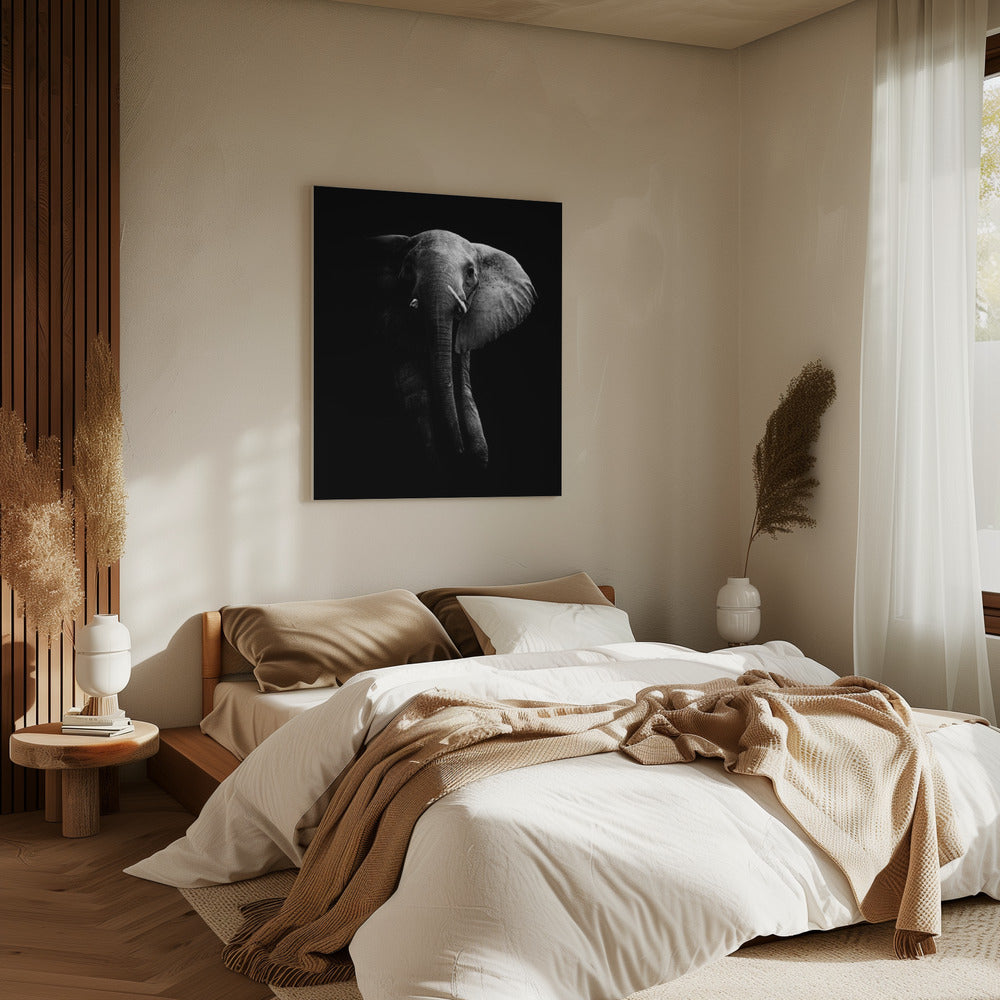 Elephant! | Canvas