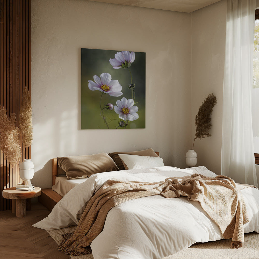 *Kosmos | Canvas