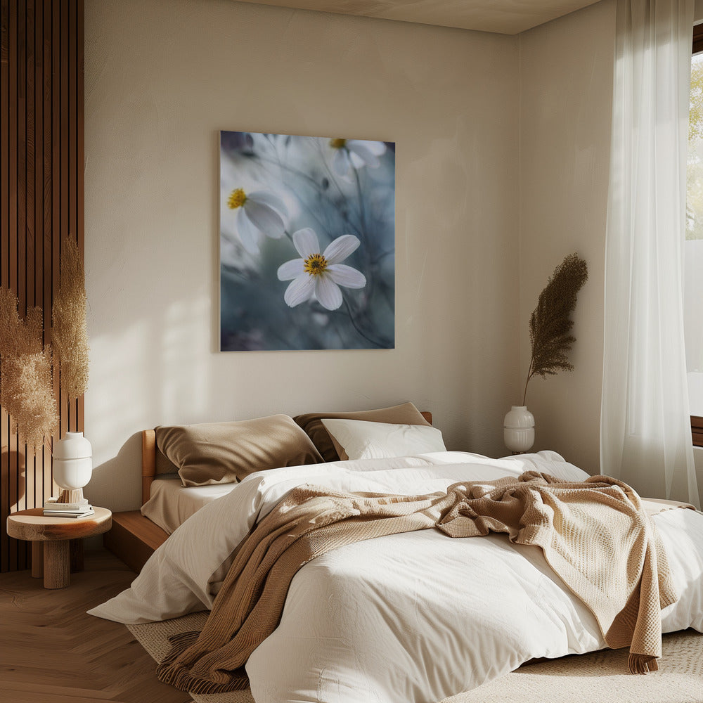 Kosmos | Canvas