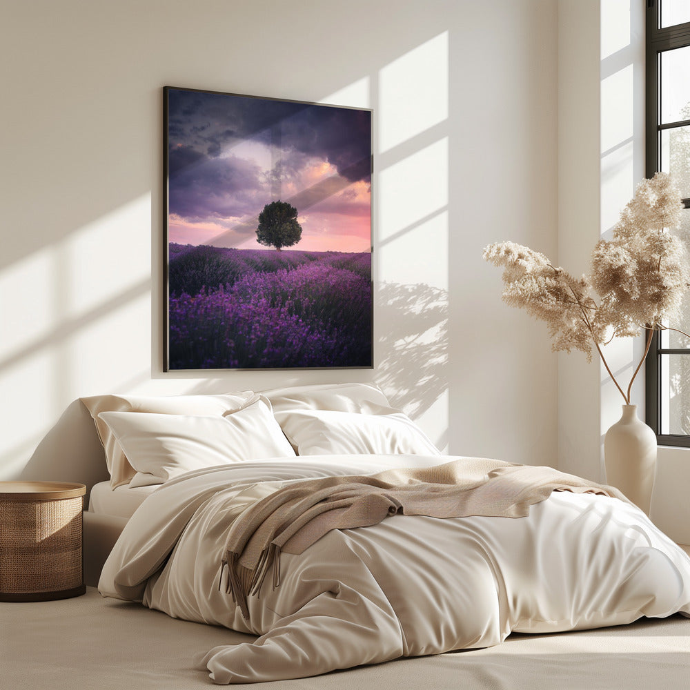 Lavendelvelden, Isparta | Poster