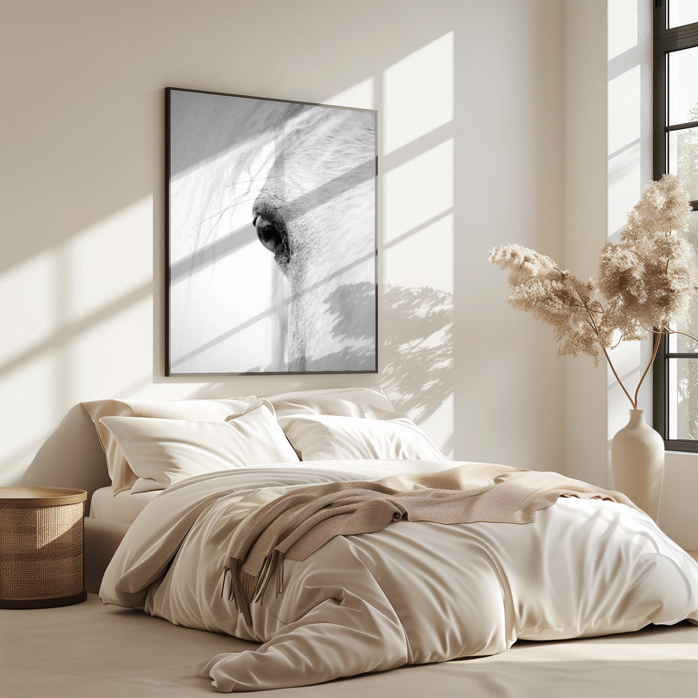 Slangoog | Poster