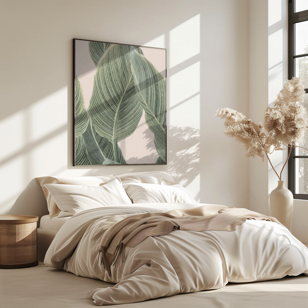 Calla-blad | Poster