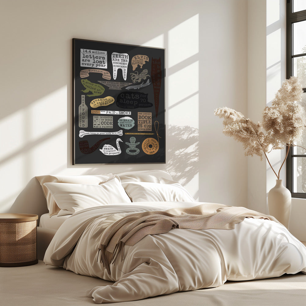 Nuttige feiten | Poster