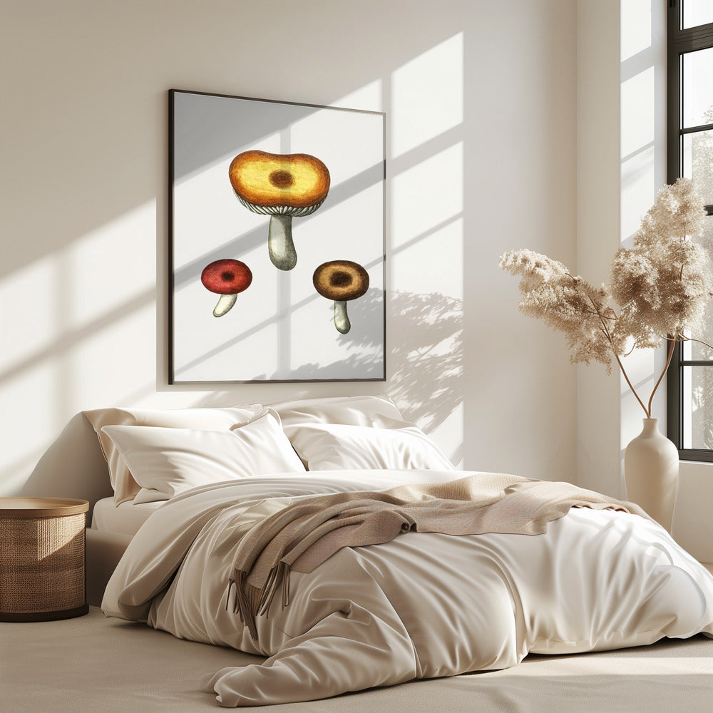 Handgetekende Galerina-paddenstoel | Poster