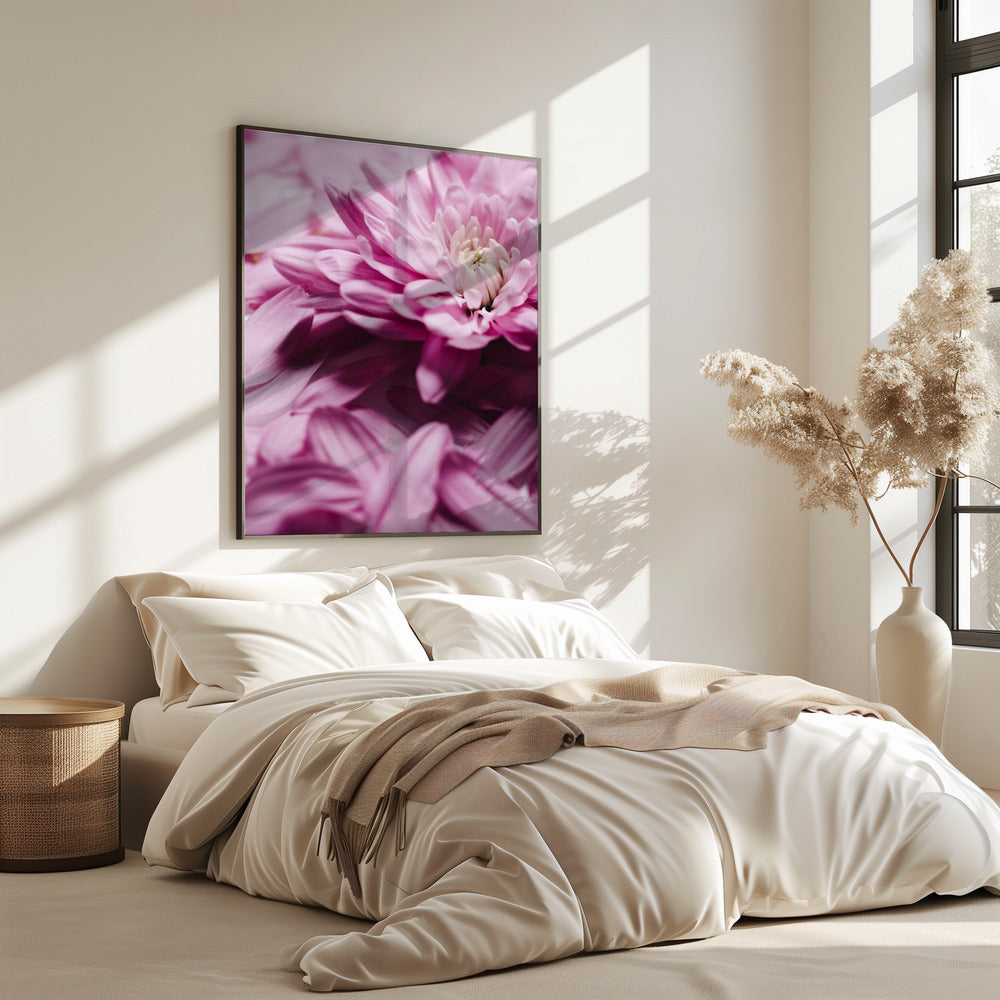 Roze Bloemblaadjes Symfonie | Poster