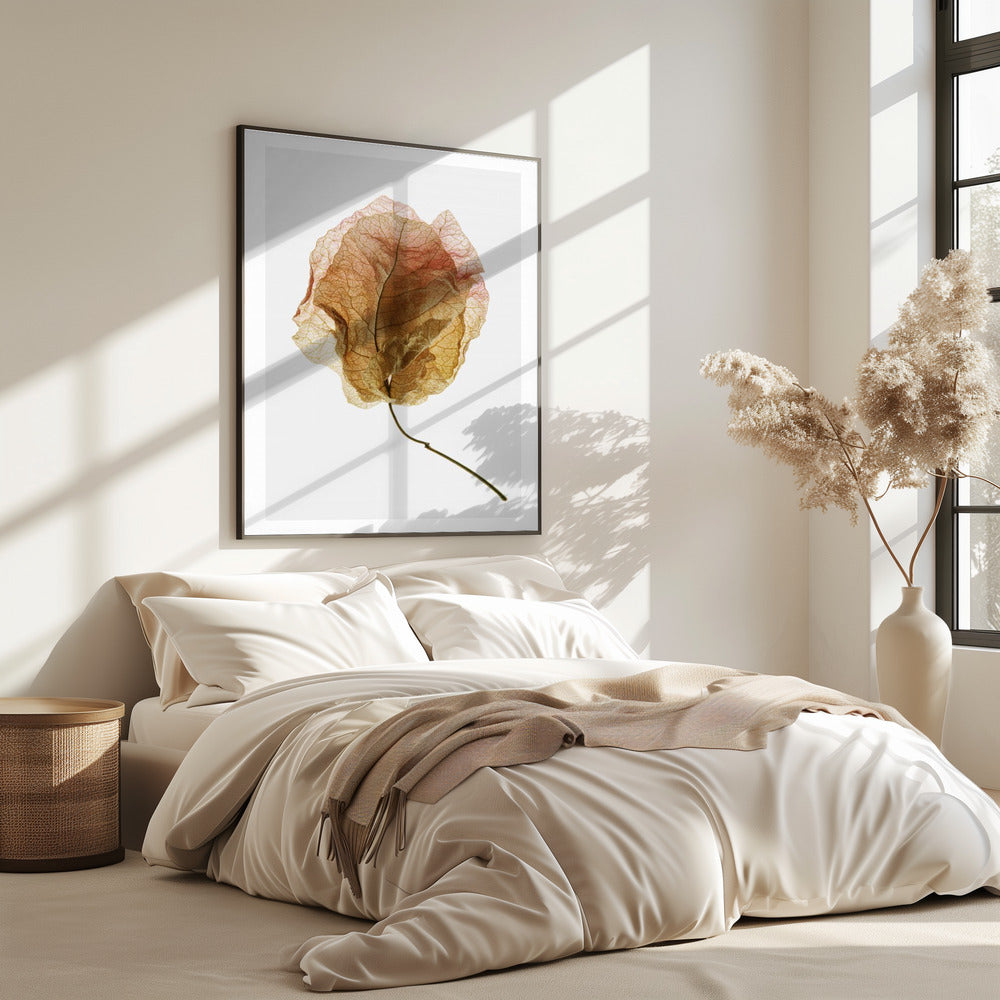 Geaderde elegantie | Poster
