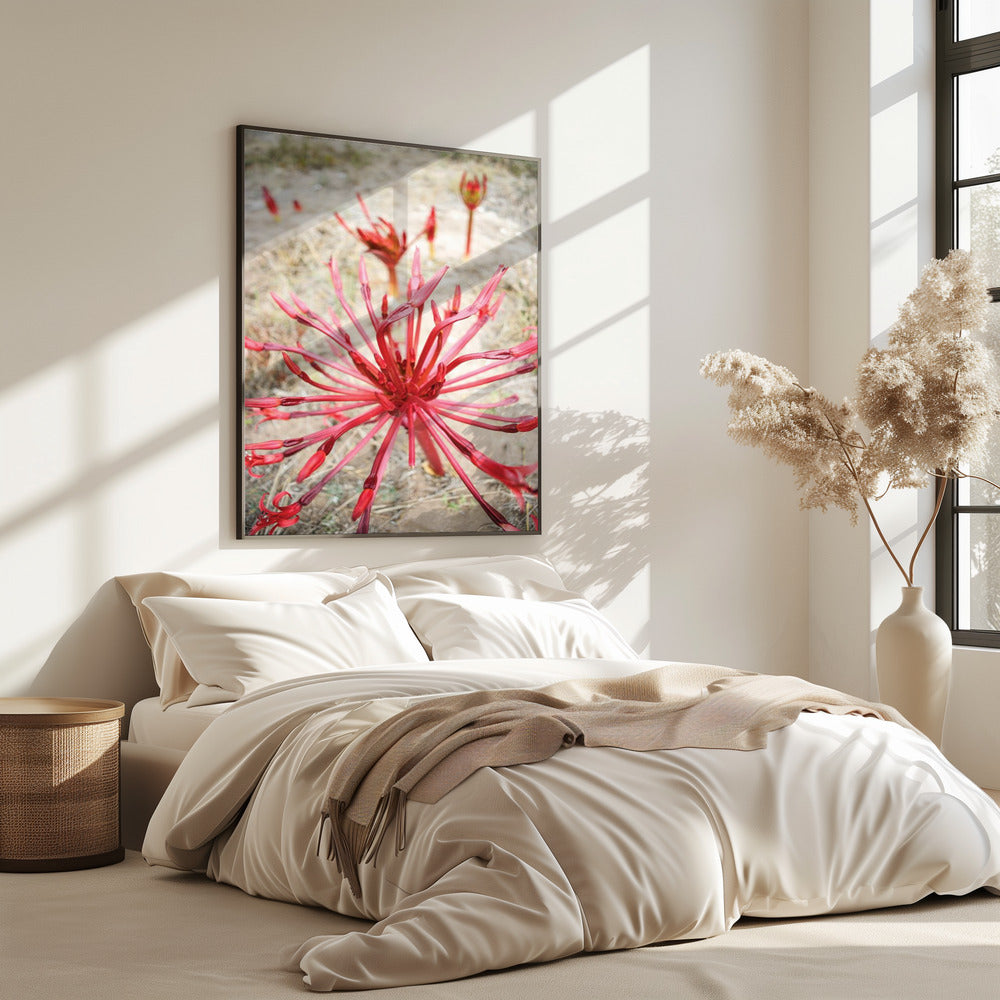 Crimson Spirals | Poster