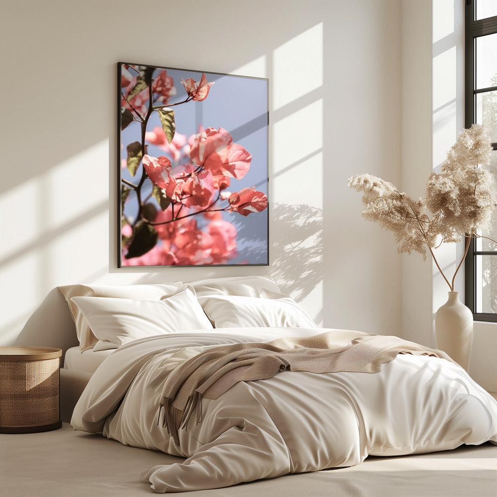 Bloesems in de bries | Poster