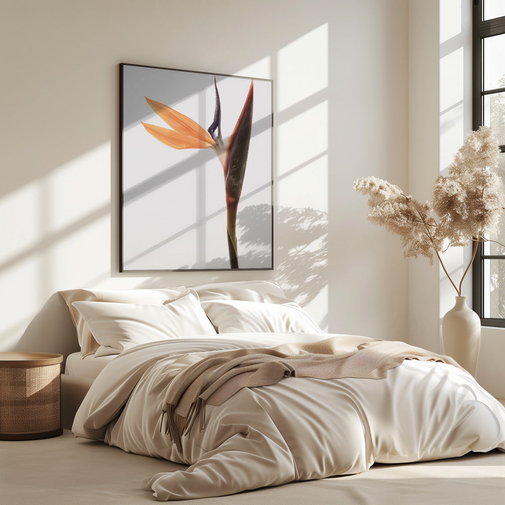 Vibrant Blossom | Poster