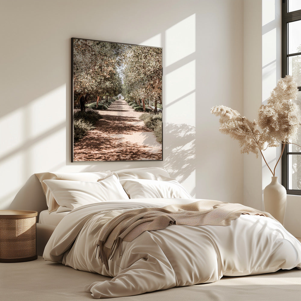 A Serene Tree Lined Path with Sunlight | Poster