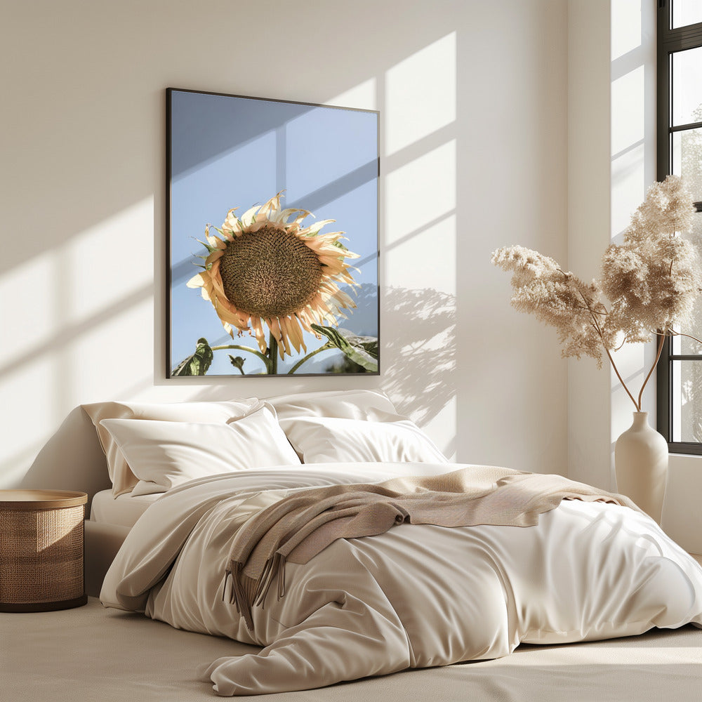 Gouden Zonnebloem Sway | Poster