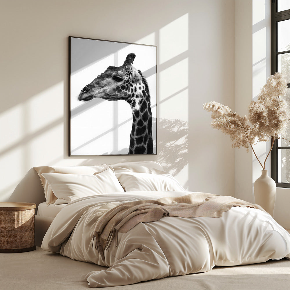 Ingewikkelde patronen van een giraffenhuid | Poster