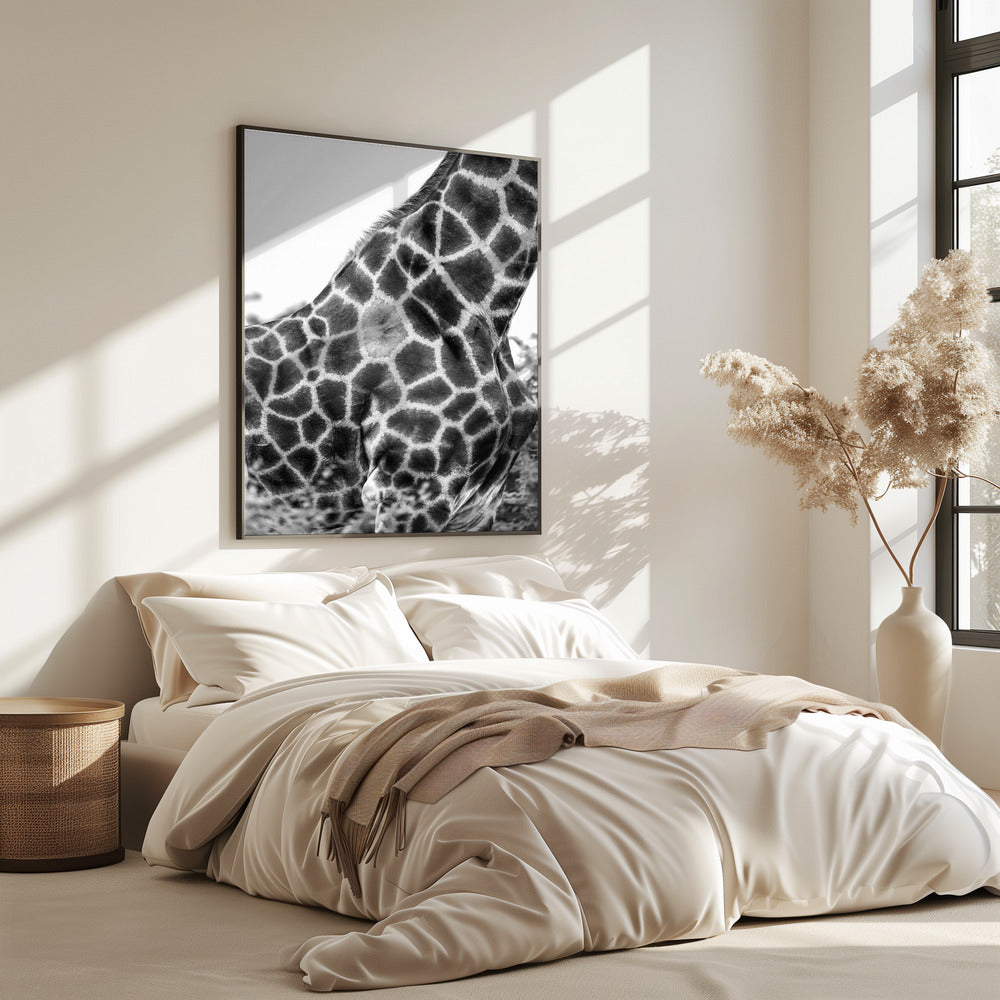 Ingewikkelde patronen van een giraffenhuid | Poster