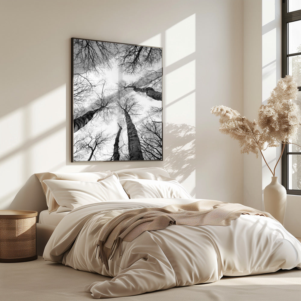 Reikende takken | Poster