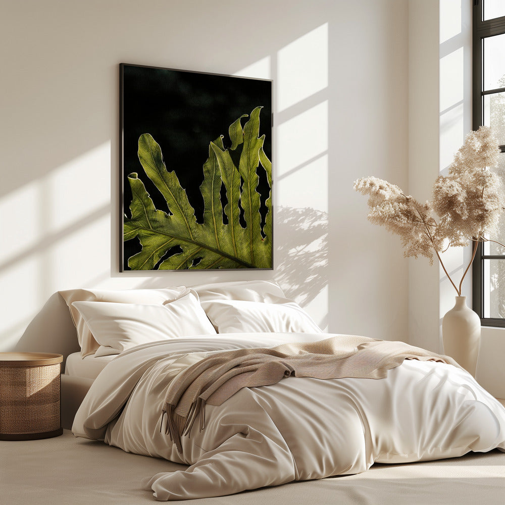 Bladsilhouet | Poster