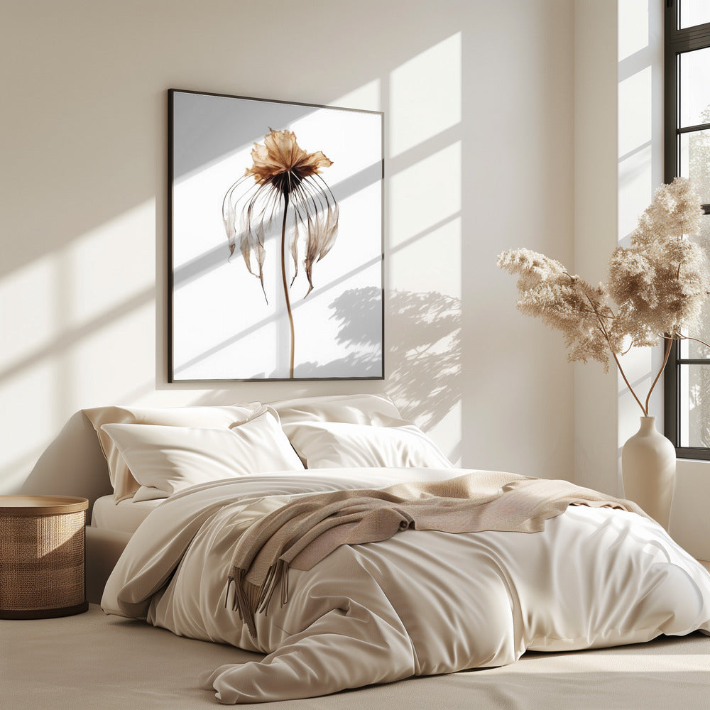 Faded Elegance | Poster