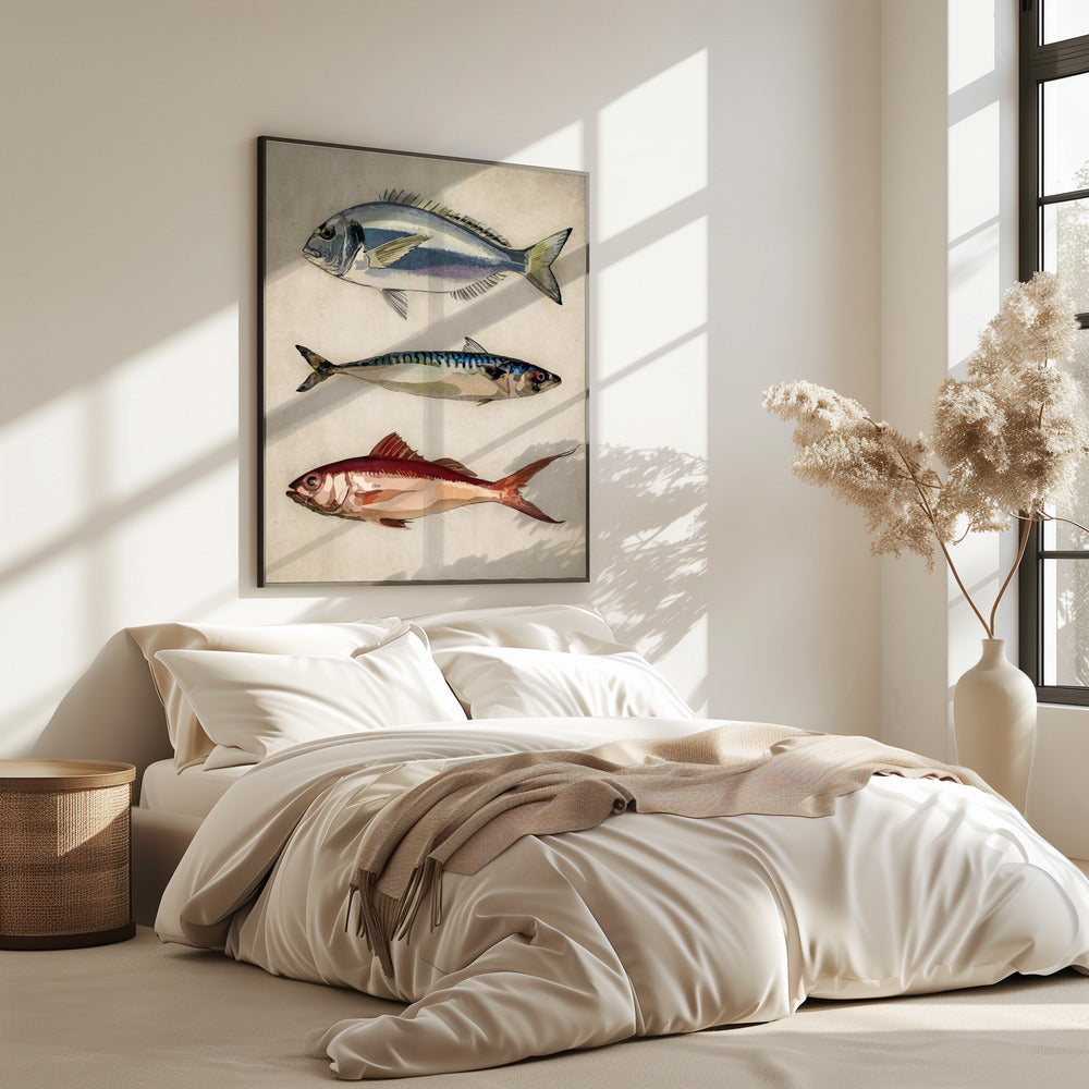 Trio van oceaanleven | Poster