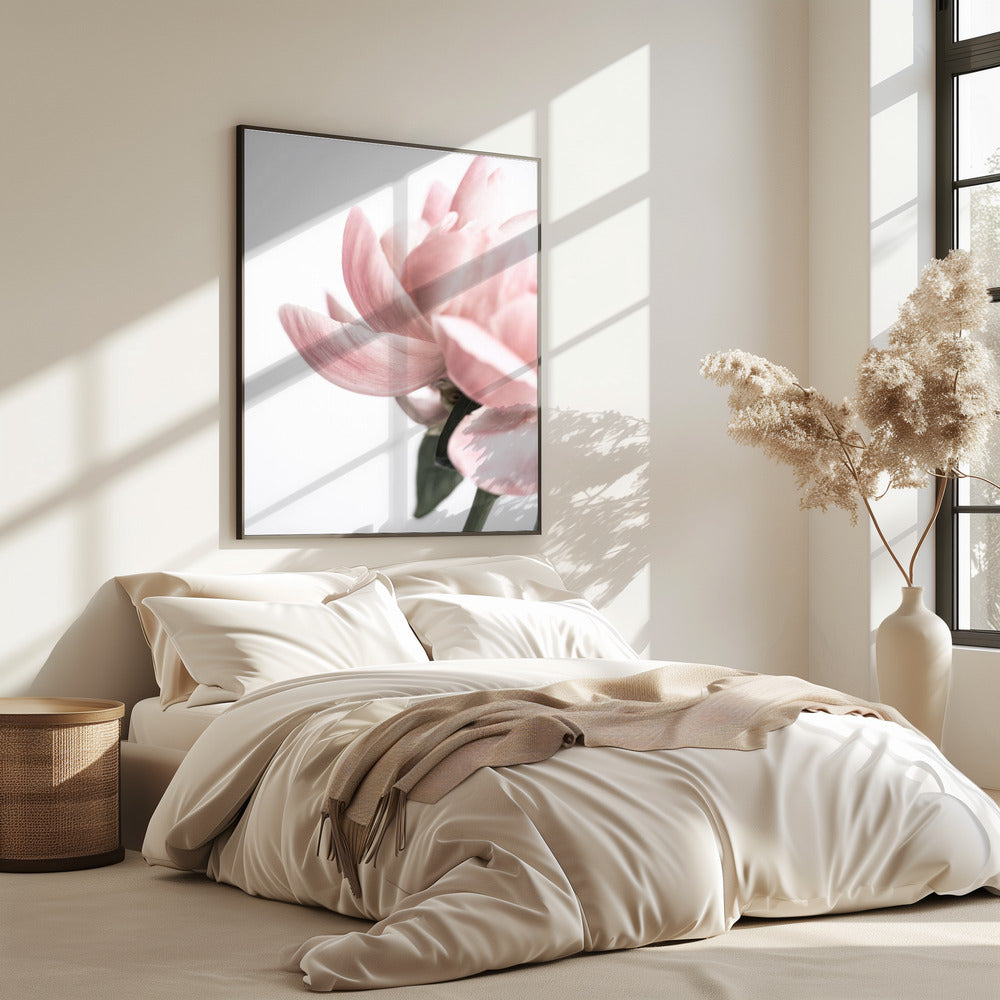 Peony 2 | Poster