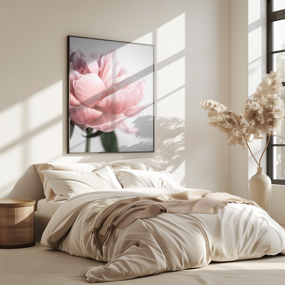 Peony 3 | Poster