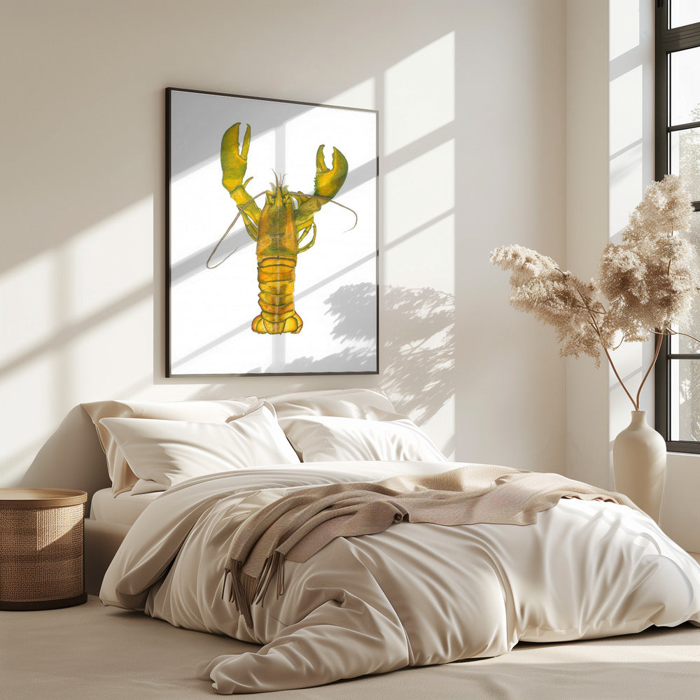 Kreeft | Poster