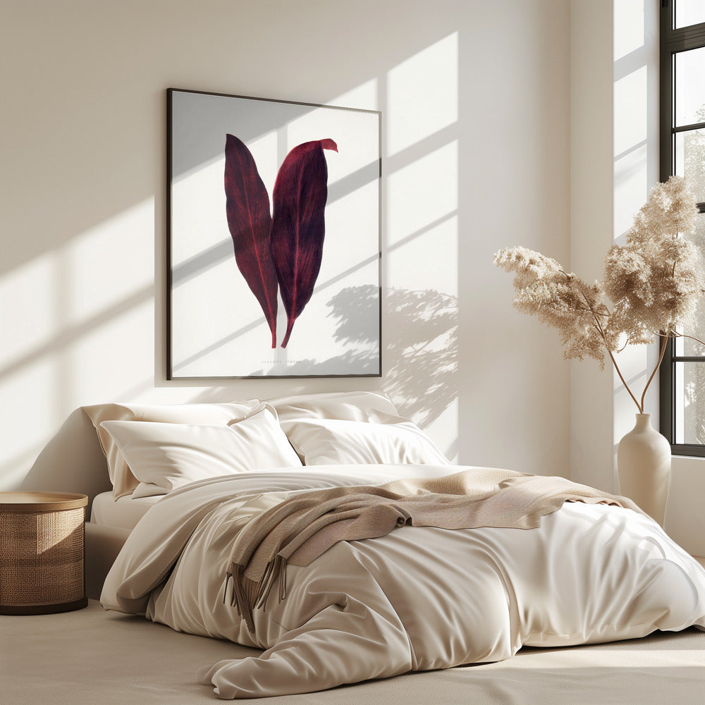 Pink Dracaena Ferrea Leaf Illustration | Poster